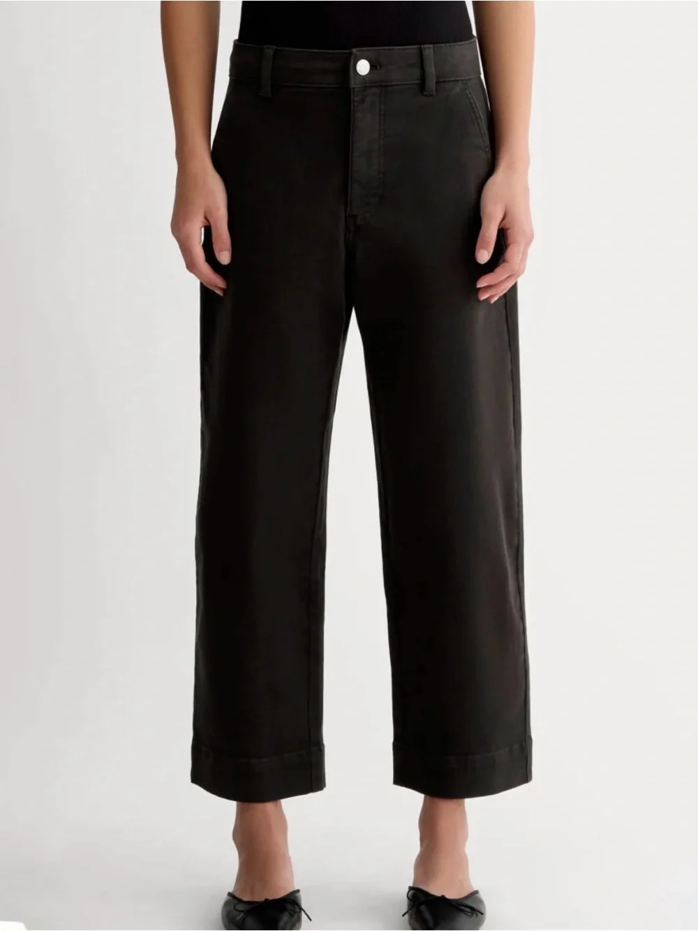 Everlane The Utility Straight-Leg Pant Black Size 2 Short